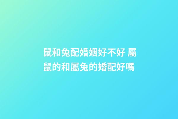 鼠和兔配婚姻好不好 屬鼠的和屬兔的婚配好嗎-第1張-觀點-玄機派
